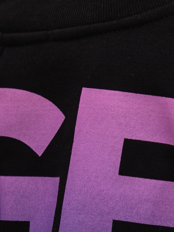 biglogosweatshirt3.png