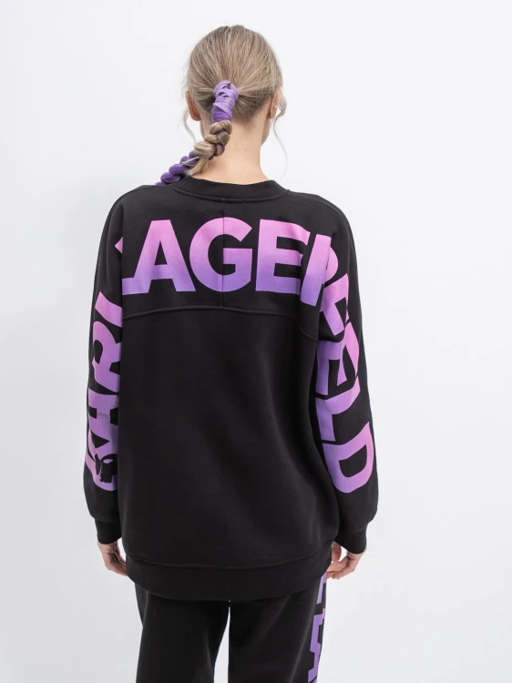 biglogosweatshirt2.png