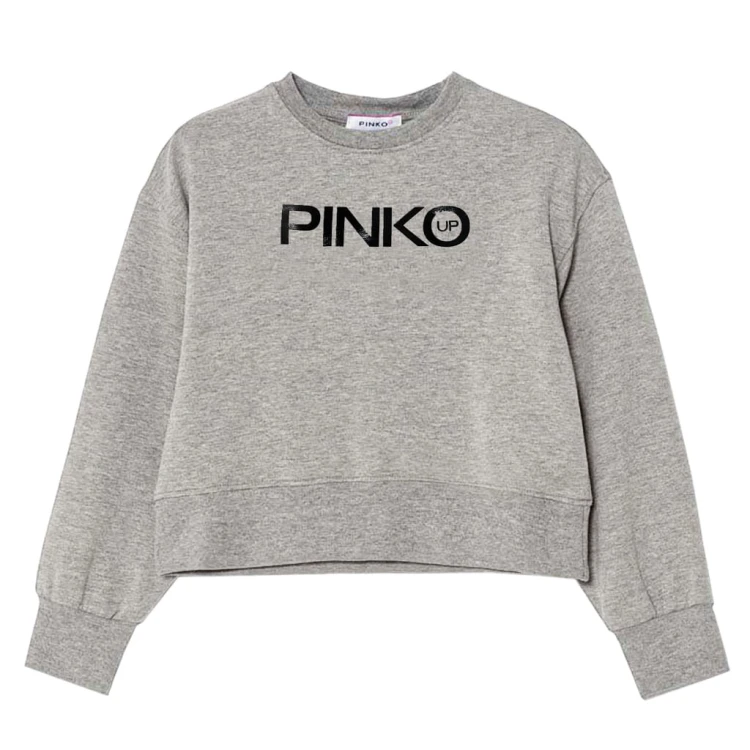 pol_pl_Bluza-Damska-PINKO-UP-Fleece-F4PIJGSW090-Szara-10752_2.jpg