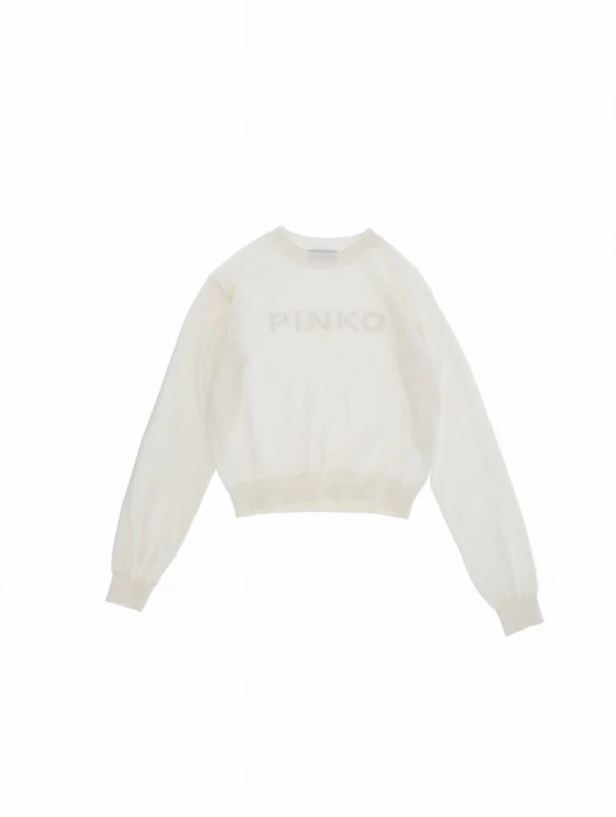 SS25---pinko---KFMA003 C FL065B007.jpeg